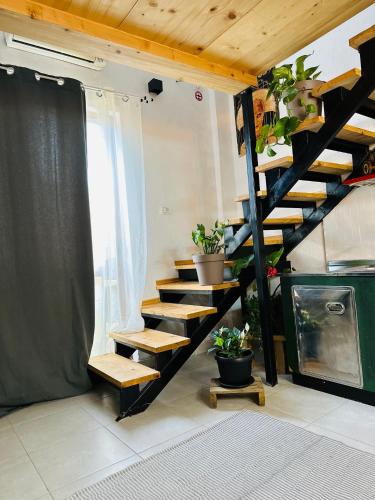 My Wooden Apartments, Tirana (photo 7)