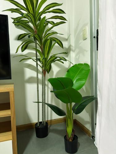 One-Bedroom Standard Apartment image 6