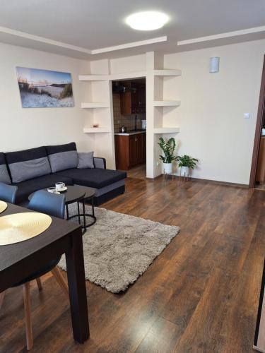 Classic Apartment