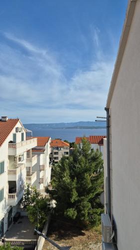 Braccia, Bol (foto 3)