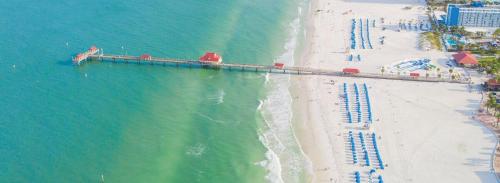 Heated pool & jetted spa -- mins to beach in Clearwater, USA