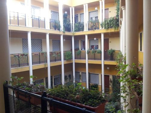 Patio sevillano, tú oasis urbano, Севилья (фото 6)
