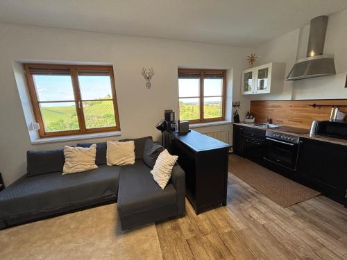 Glanz und Gloria Weingartenapartment an der Kellerstraße, viele Buschenschanke, sehr ruhige Lage, he in Loipersdorf