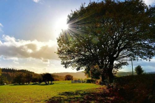 Mynd View Pods Ash in Craven Arms