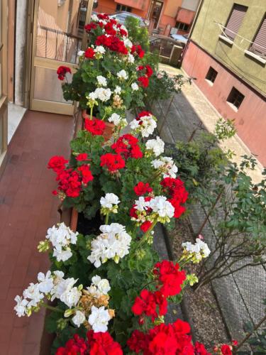 Casa di sara - image 12