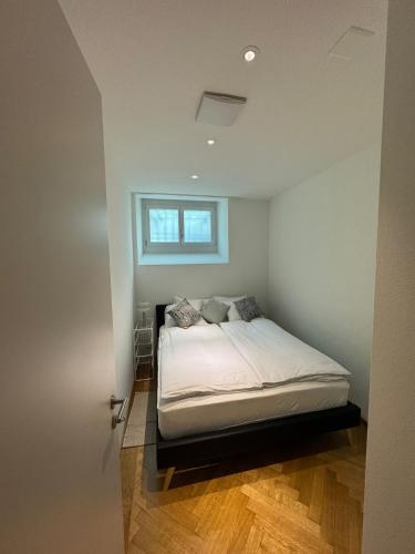 Zürich Central Station Apartment, 2 bedroom & Sofabed, Curych (fotografie 6)