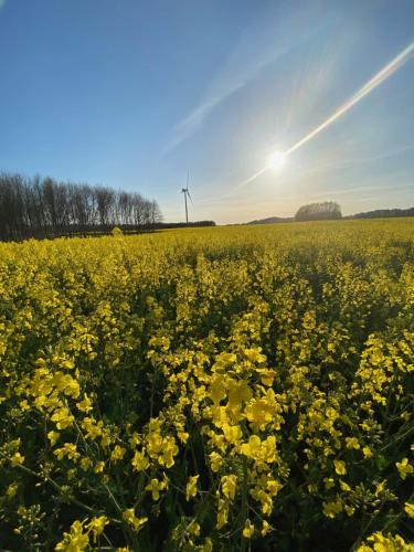 Stuga Marsi in Ystad