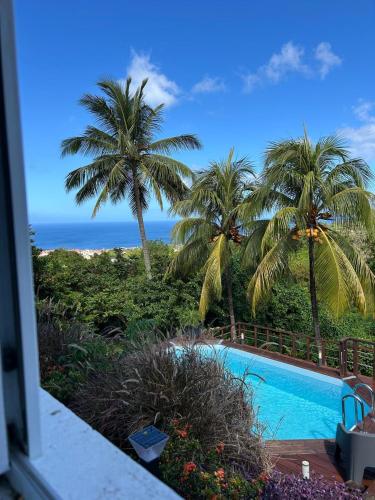 Dārzs, O Soley Carib in Basse Terre