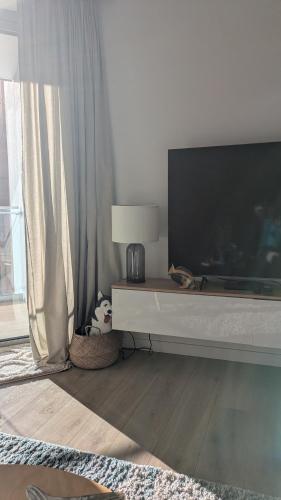 PINEA BALTIC - Double Sea View - Apartment z widokiem na morze, Pobierowo (foto 9)