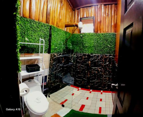 Cabaña que Tuanis, Фортуна (фото 11)