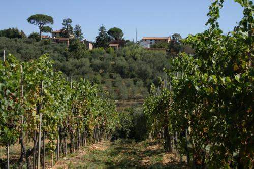 Casa Fontanino