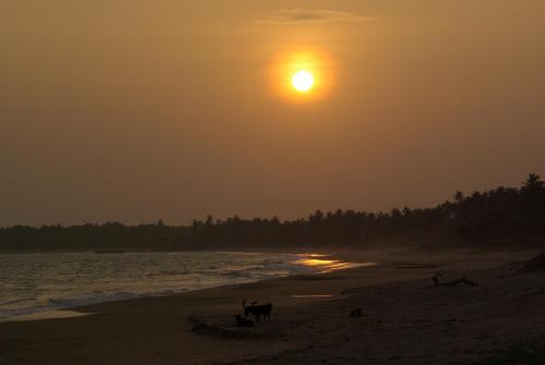 Lanka Beach Villa