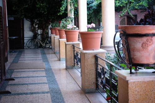 セント ジョージズ チュニス ホテル