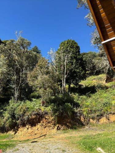 Apkārtne, El Quetzalito Cabin in San Gerardo de Dota