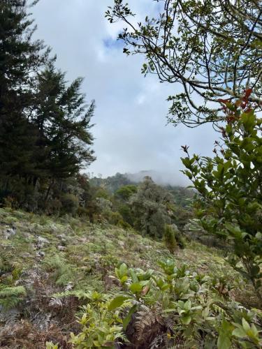 Apkārtne, El Quetzalito Cabin in San Gerardo de Dota
