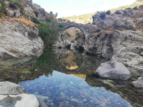 Résidence E CIME ASCO Locations de studios meublés