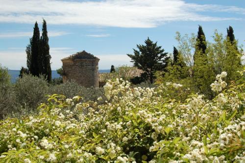 Mas de la Beaume – Gordes, UT