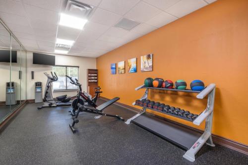 Comfort Suites Ocala North - image 5