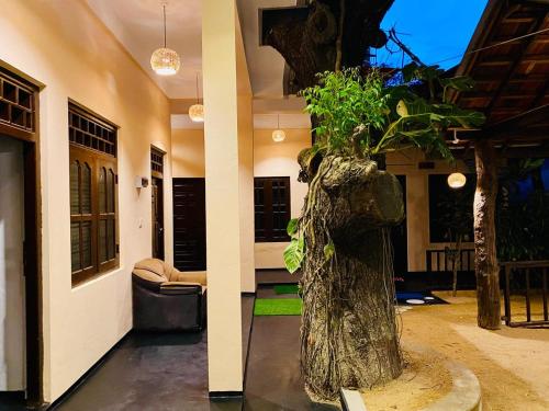 บริการและสิ่งอำนวยความสะดวก, Surf & Relax A-bay in อ่าวอารูกัม