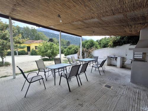 Garden, Countryside Studios in Pilarei