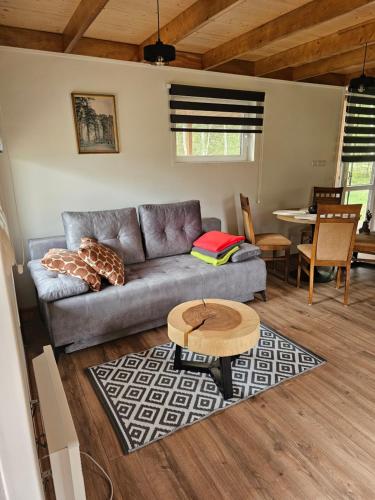 Domek letniskowy brązowy -całoroczny (Domek letniskowy brazowy -caloroczny) in Olsznowo