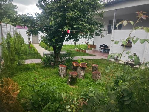 "Qəbələdə Ailəvi İstirahət üçün Tam Təchizatlı Ev"