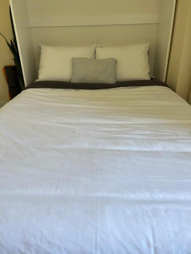 Cosy room with private bathroom and 2 bikes, Haag (fotografie 5)