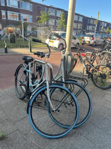 Cosy room with private bathroom and 2 bikes, Haag (fotografie 10)