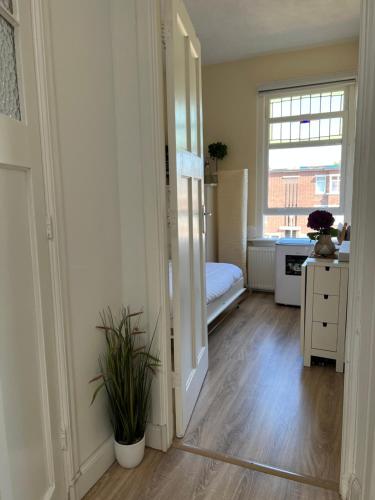 Cosy room with private bathroom and 2 bikes, Haag (fotografie 9)