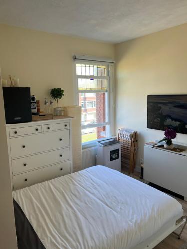 Cosy room with private bathroom and 2 bikes, Haag (fotografie 2)