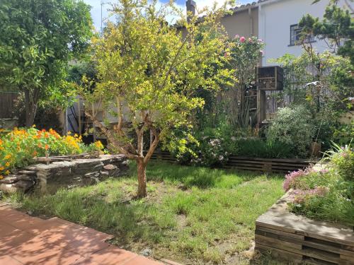 Les Papillons in 佩皮尼昂市中心