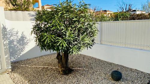 Villa Lili CIP - image 2