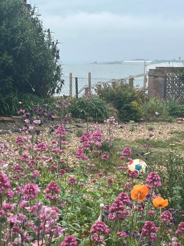 Cove Cott Guest Accommodation in Fareham