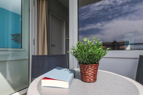 Probsteier Platz Möwennest in Laboe, Deutschland