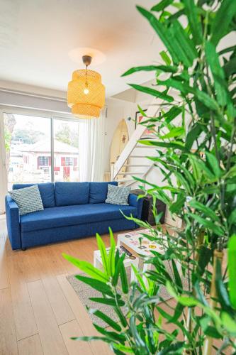 المرافق, Capbreton Surf House in Capbreton