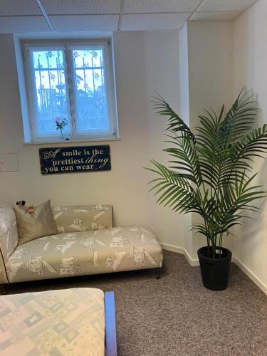 Wohnoase mit gratis Parkplatz, Bâle (photo 7)