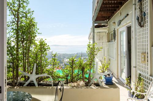 Spacious 3Bed Apt Overlooking Cape Town Panova - image 2