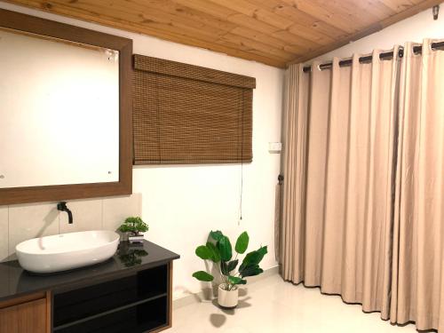 Double Room with Garden View image 5