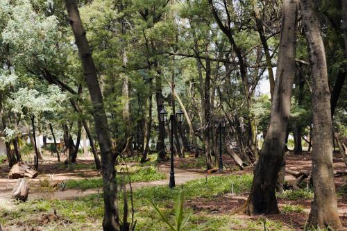 Pemandangan, Ingaadi in Tierpoort