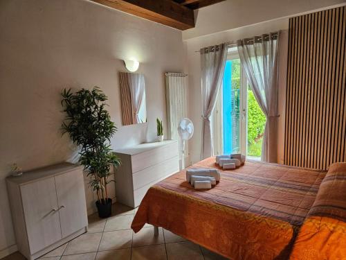  Corte dei sogni - Mountain and Lake in Ranzanico