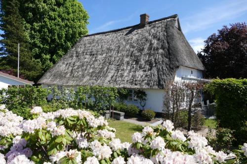 Landhaus zur alten Kastanie