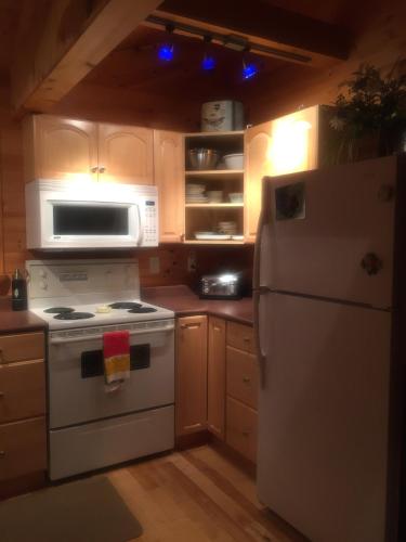 Island Retreat at waters edge Boat&Motor Included in Nipissing (ON)