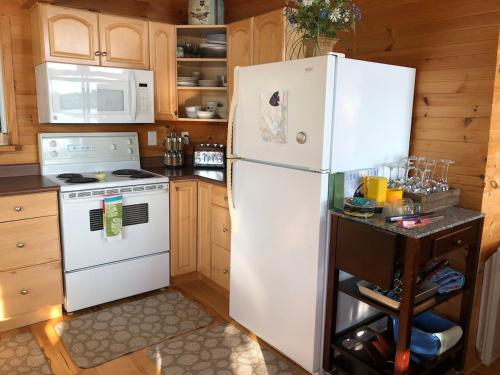 Island Retreat at waters edge Boat&Motor Included in Nipissing (ON)