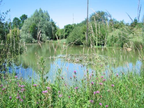 Apkārtne, Orchid Lodge-The Good Life in France in La Chapelle-Thémer