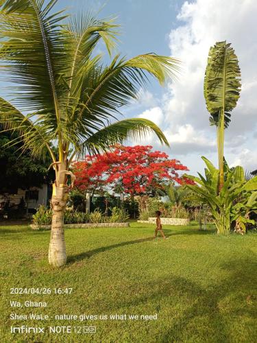 . Beauty by Nature Family Garden Retreat with STARLINK