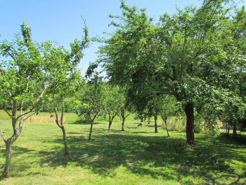 Le Domaine du Cerneau photo 22