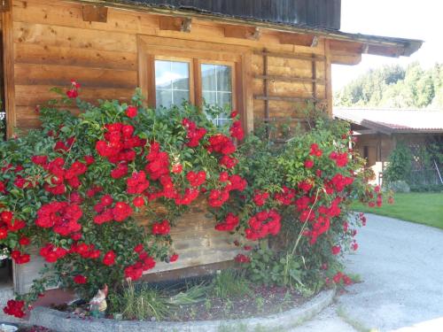 Pension Schwaighof - image 8