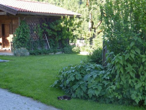 Pension Schwaighof - image 6