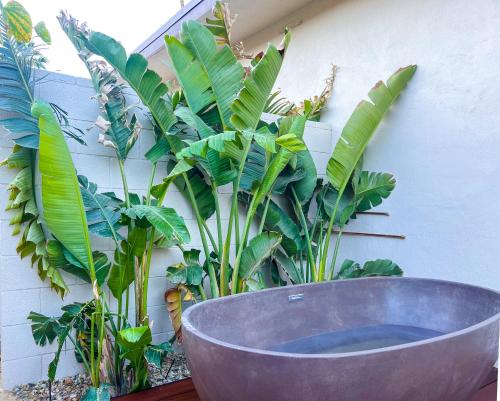 Terra Palm Springs in Palm Springs City Center