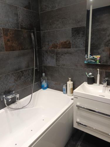 อ่างแช่น้ำร้อน, útulný byt v blízkosti centra (utulny byt v blizkosti centra) in ซิเดนิเซ